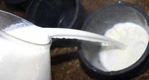 Intolleranza al lattosio: come si manifesta e cosa evitare di mangiare?