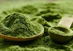 Alga spirulina: cos’è e quali benefici offre