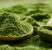 Alga spirulina: cos’è e quali benefici offre